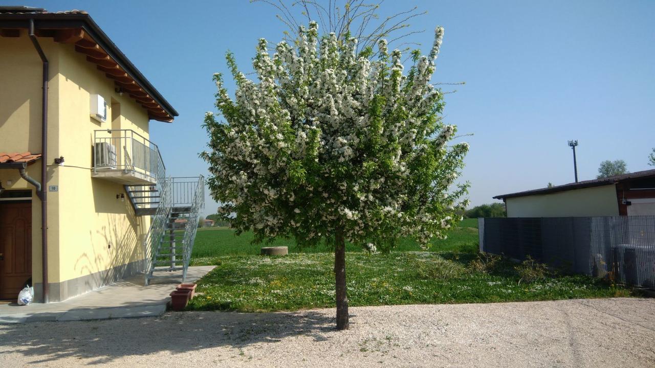Bed & Breakfast Sant' Eurosia - Bologna — Foto 3